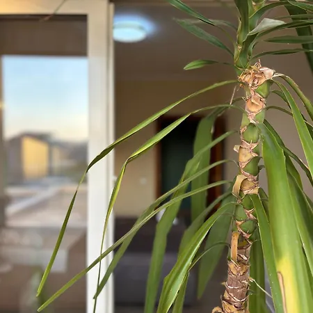 Next To Blloku 2-bdr Spacious Lägenhet Tirana