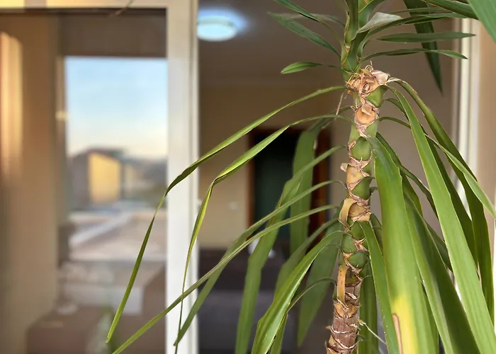 Next To Blloku 2-bdr Spacious شقة تيرانا